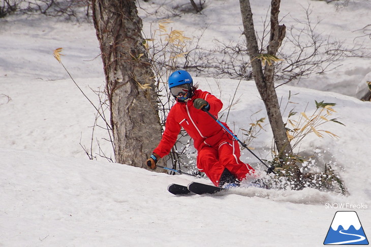 DYNASTAR SKI series Test Ride Days 2017 in ニセコユナイテッド【Day.2】～ニセコグラン・ヒラフ～